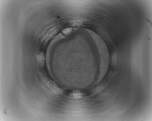 X0000103950228200810031353