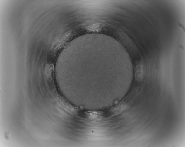 X0000103950229200810031353