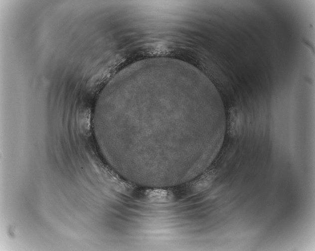 X0000103950230200810031353