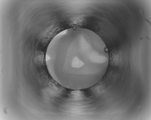 X0000103950231200810031353