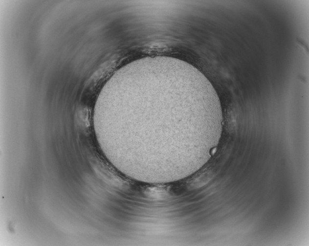 X0000103950232200810031353