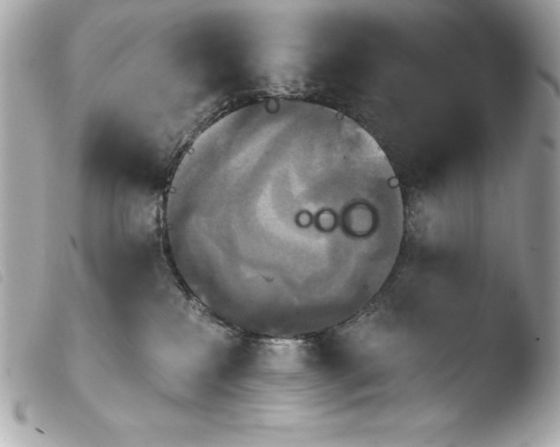 X0000103950233200810031353