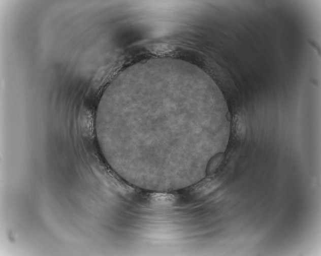 X0000103950234200810031353