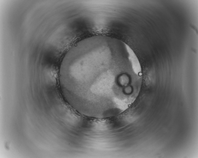 X0000103950235200810031353