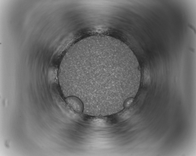 X0000103950236200810031353