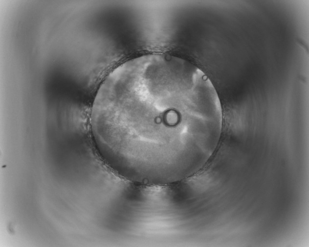 X0000103950237200810031353