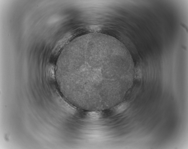 X0000103950238200810031353