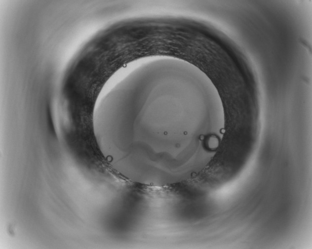 X0000103950239200810031353