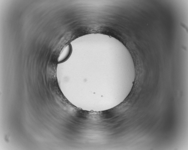 X0000103950240200810031353