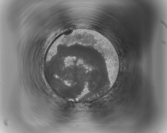 X0000103950241200810031352