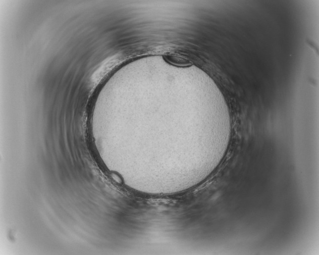 X0000103950242200810031352