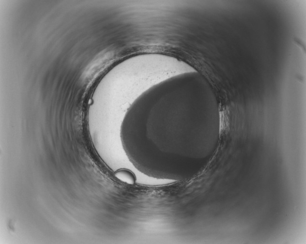 X0000103950243200810031352