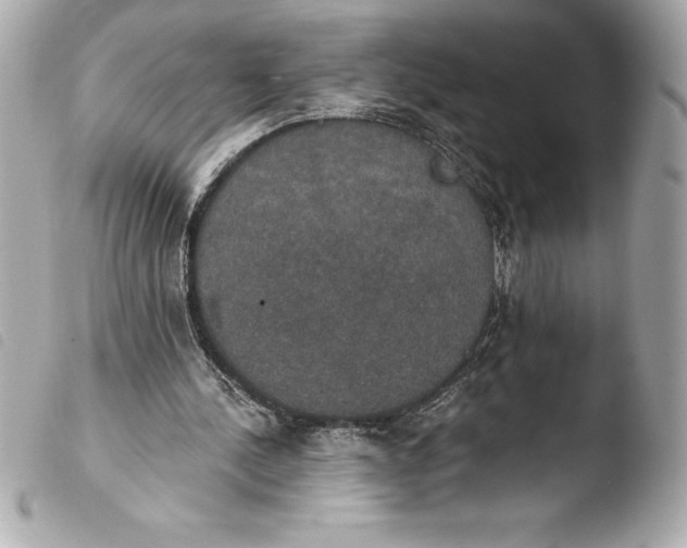 X0000103950244200810031352