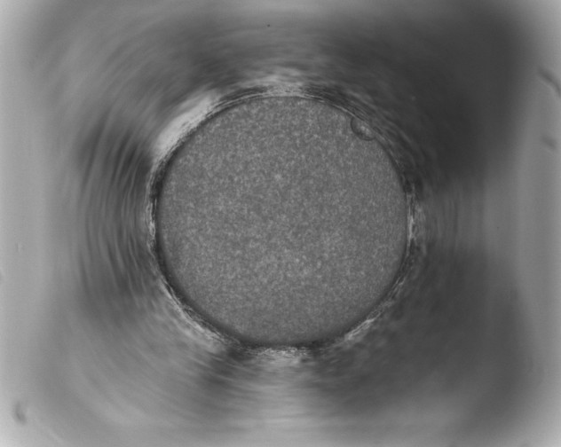 X0000103950245200810031352