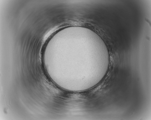 X0000103950246200810031352