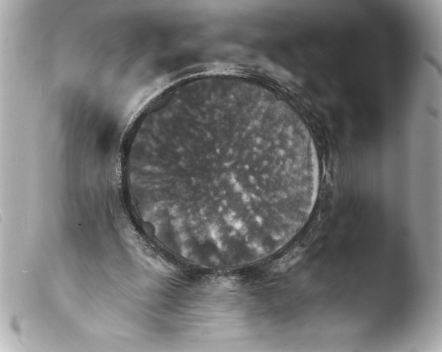 X0000103950247200810031352