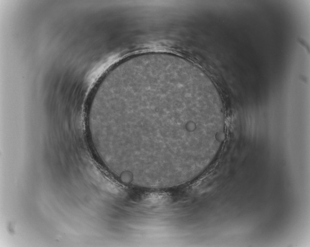 X0000103950248200810031352