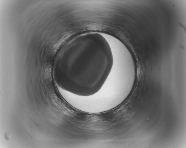 X0000103950249200810031352