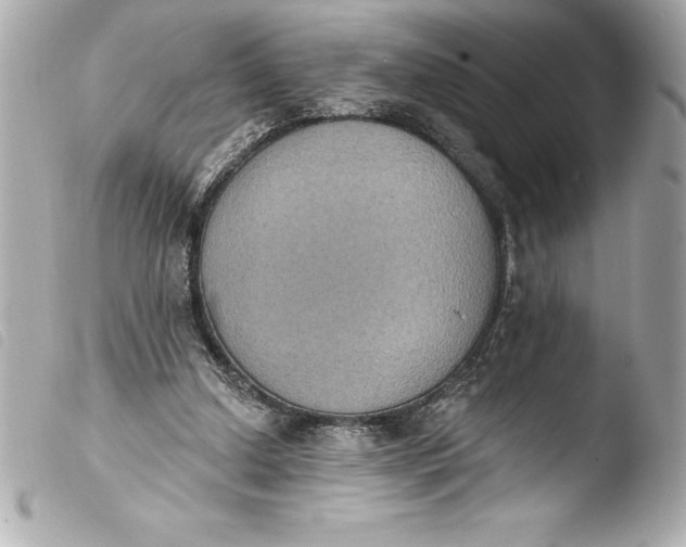 X0000103950250200810031352