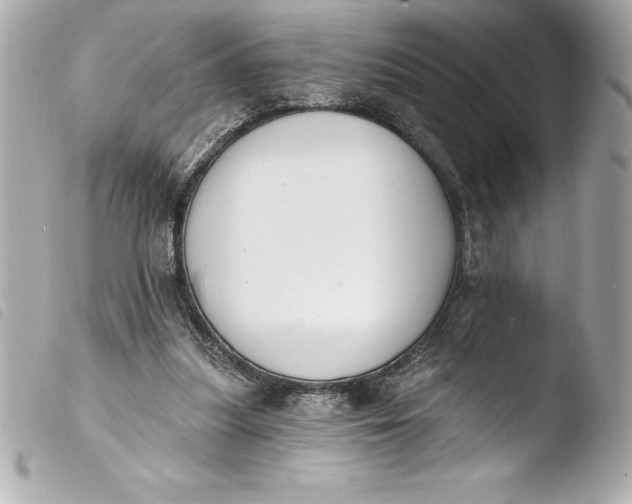 X0000103950251200810031352