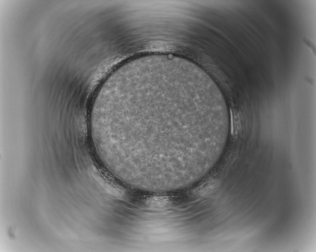 X0000103950252200810031352