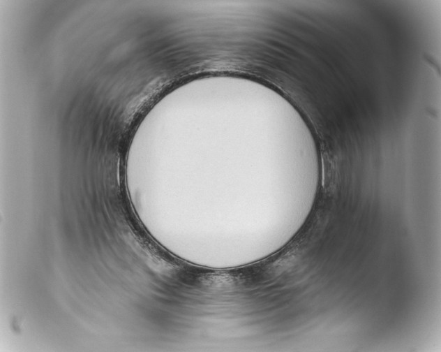 X0000103950253200810031352