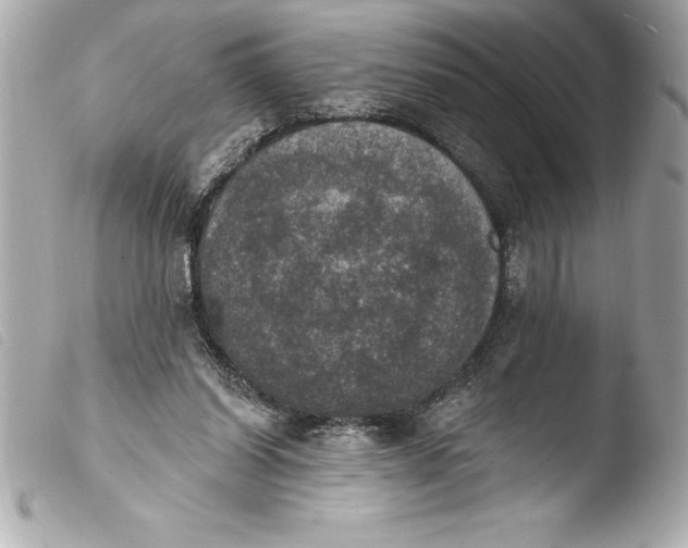 X0000103950254200810031352