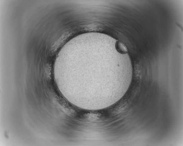 X0000103950255200810031352