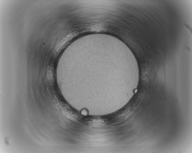 X0000103950256200810031352