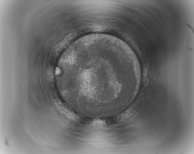 X0000103950257200810031352