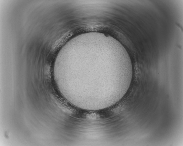 X0000103950258200810031352