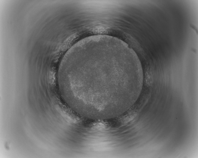 X0000103950259200810031352