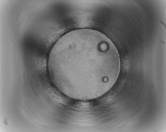 X0000103950260200810031353