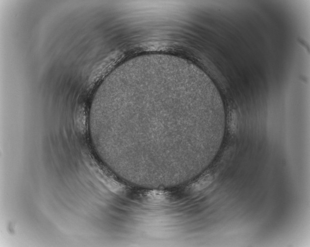 X0000103950261200810031353