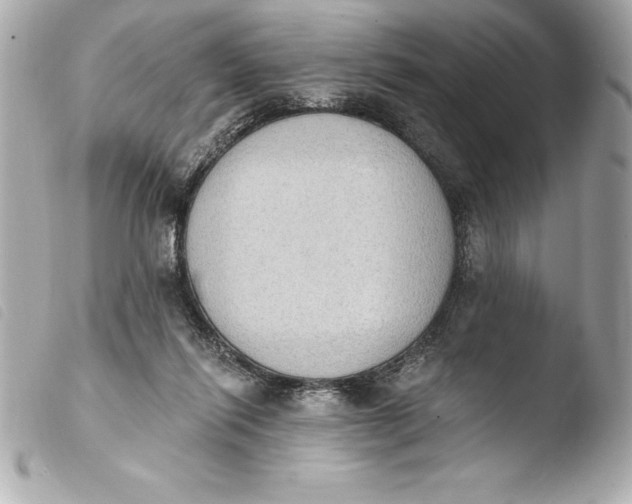 X0000103950262200810031353