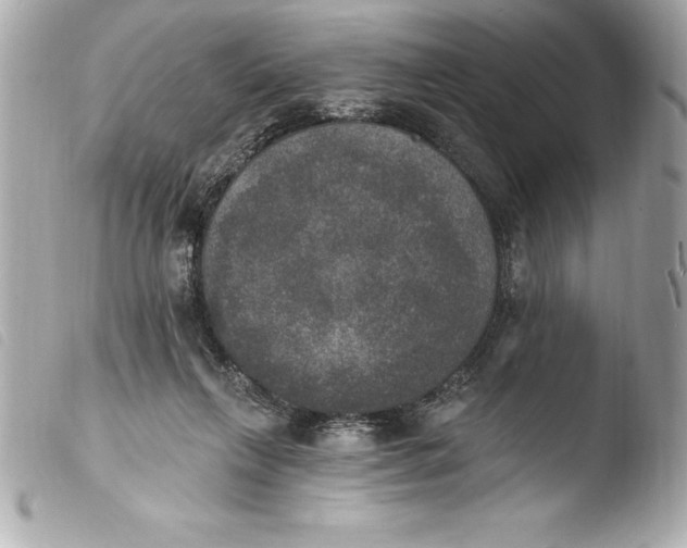 X0000103950263200810031353