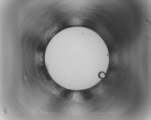 X0000103950264200810031353