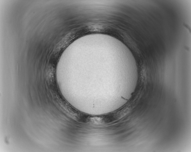 X0000103950265200810031353