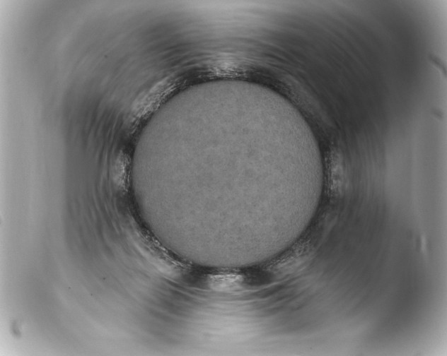 X0000103950266200810031353