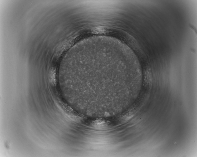 X0000103950267200810031353