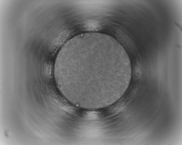 X0000103950268200810031353