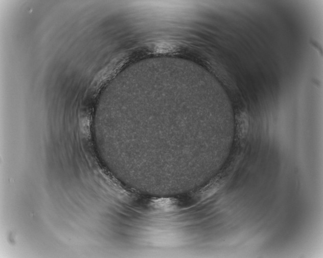 X0000103950269200810031353