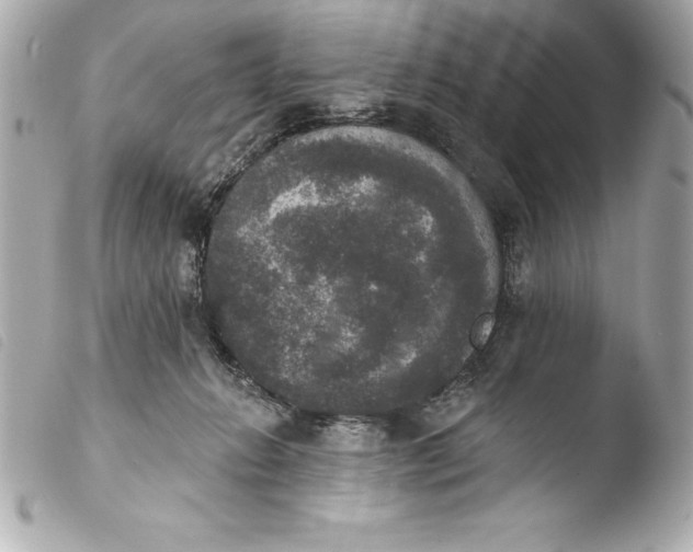 X0000103950270200810031353