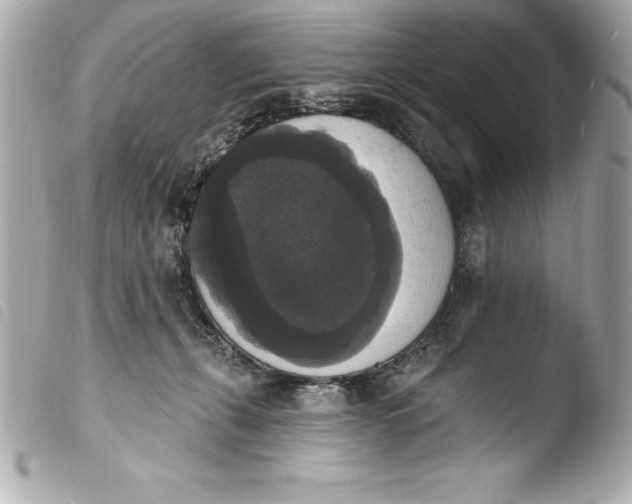 X0000103950271200810031353