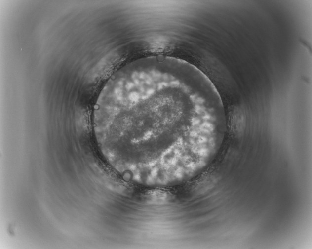 X0000103950272200810031353