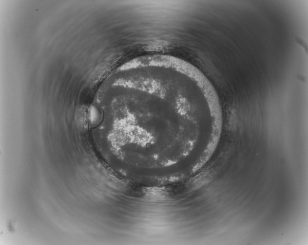 X0000103950273200810031353