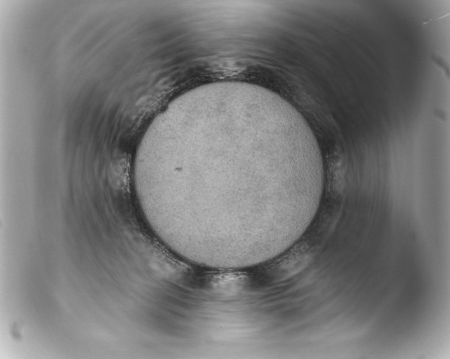 X0000103950274200810031353