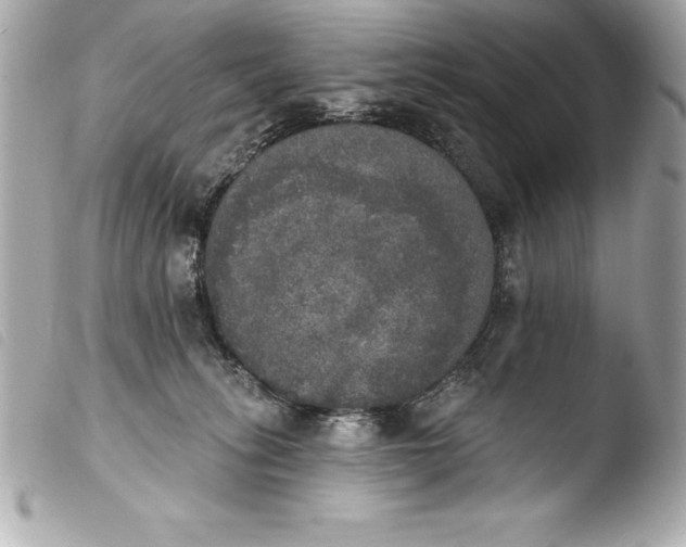 X0000103950275200810031353