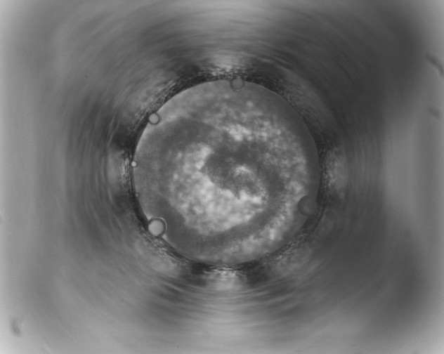 X0000103950276200810031353