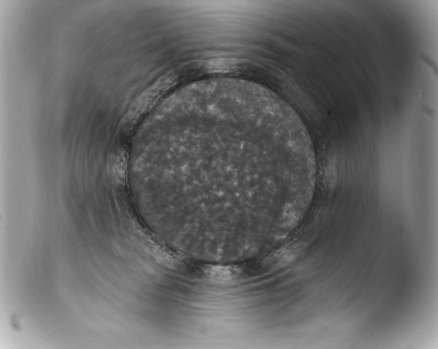 X0000103950277200810031353